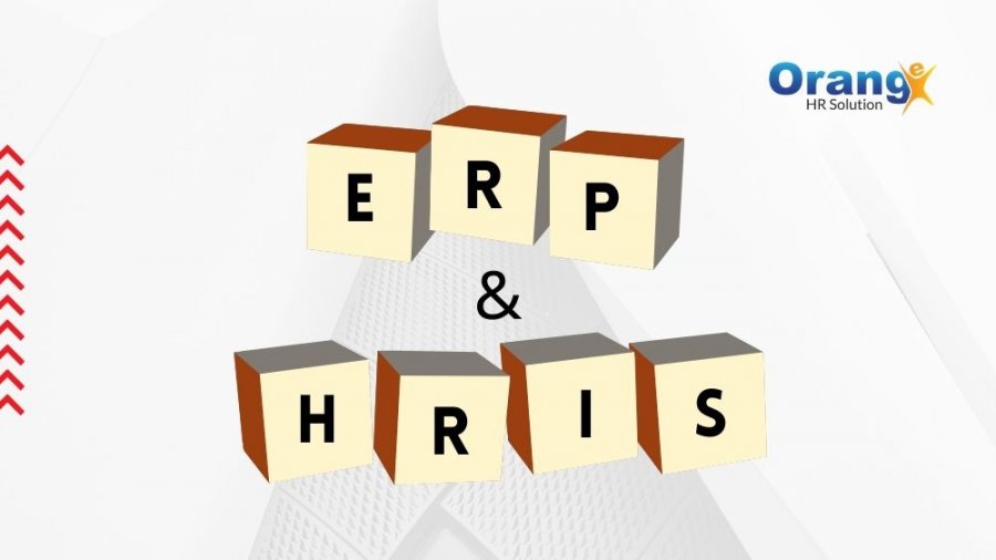 Apa Perbedaan Software ERP dan HRIS?
