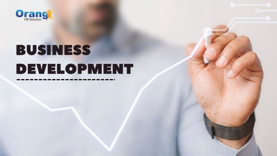 Seberapa Penting Business Development Dalam Perusahaan?